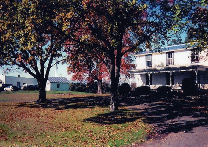 A house with two trees in front of it.