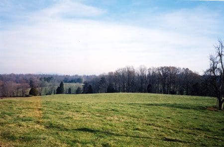 A field with trees in the background and a sky filled with clouds.