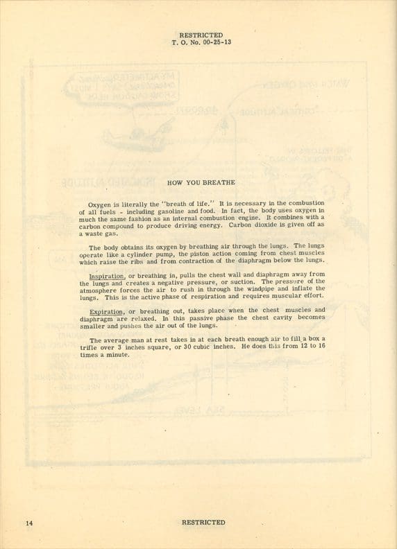 A document with a black and white image of a document.