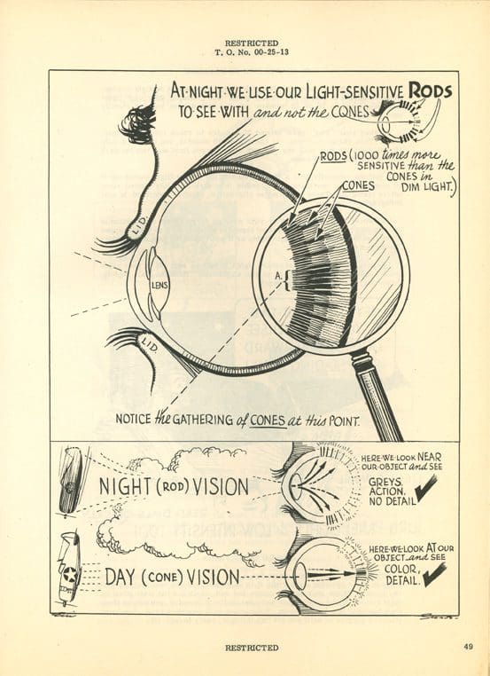 A drawing of an eye with a magnifying glass.