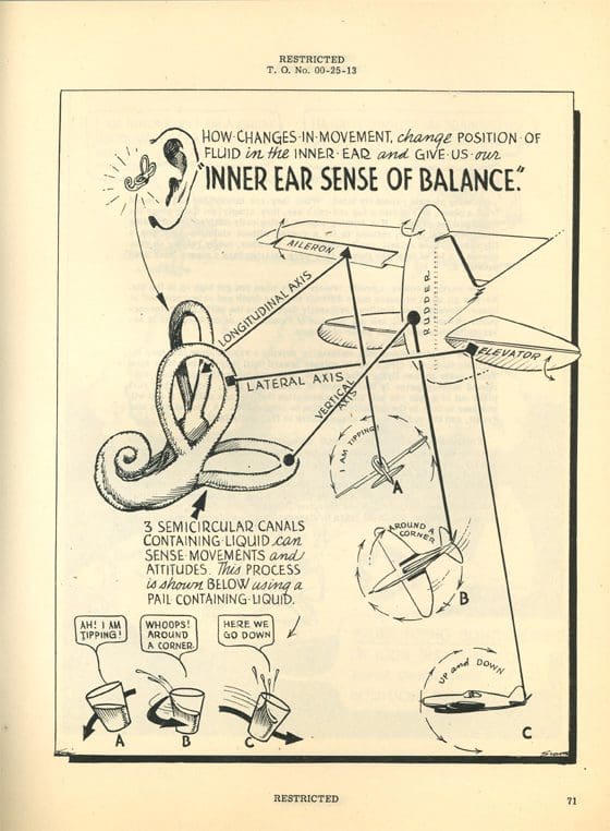 A drawing of an ear with some musical notes