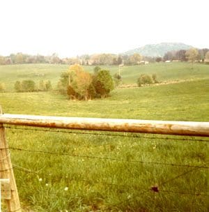 A view of a field from the top of a fence.