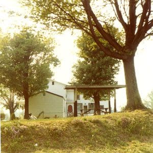 A house sitting under a tree on top of a hill.