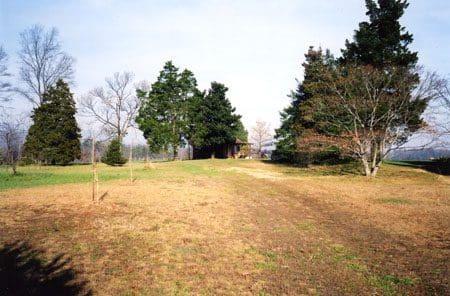 A field with trees and dirt road in the foreground.