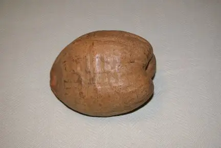 A brown nut sitting on top of a table.