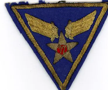 A blue triangle with a gold star and wings on it.