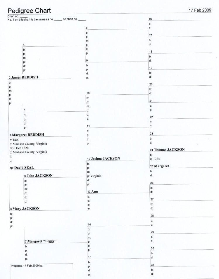 A family tree with the names of each member.