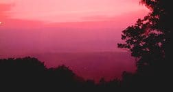 A pink sky with trees in the foreground.