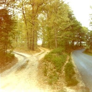 A road with two different lanes going through the woods.