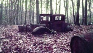 A rusted car in the middle of a forest.